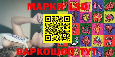 шишки Лесной