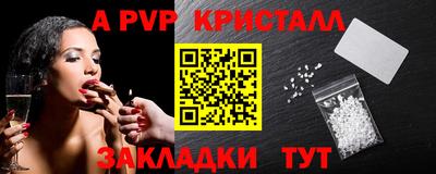 шишки Лесной