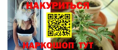 шишки Лесной
