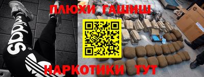 шишки Лесной