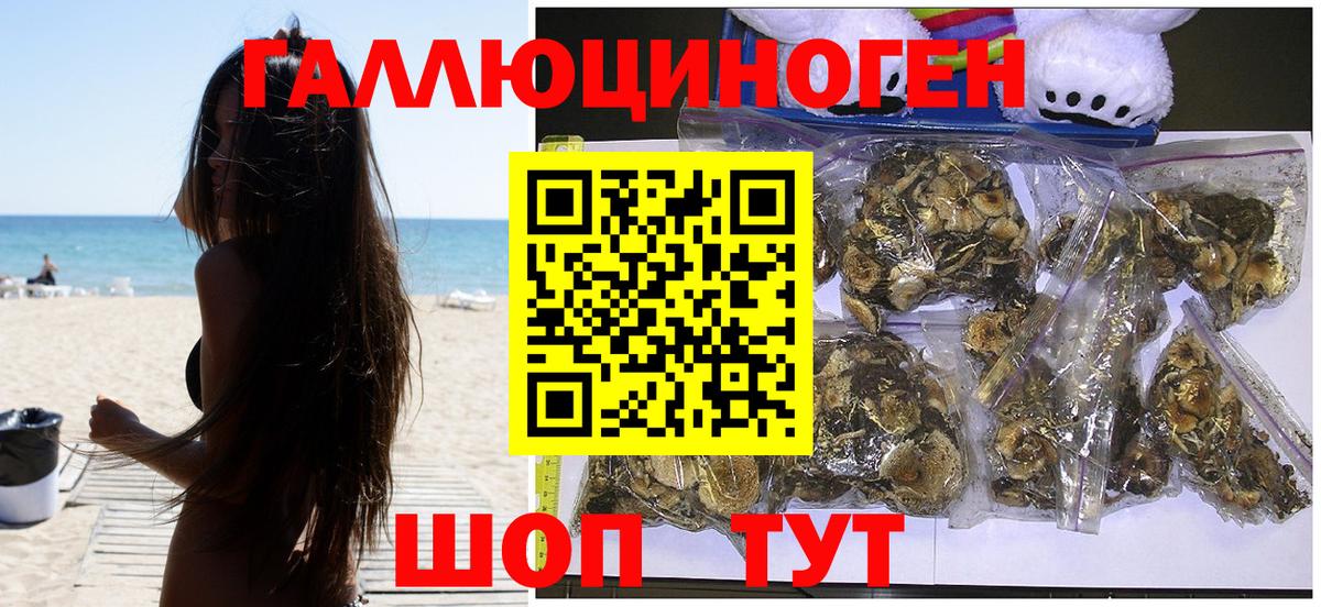 Сосновоборск  Псилоцибиновые грибы Magic Shrooms  Вход с VPN  купить закладку  Псилоцибиновые грибы мицелий 